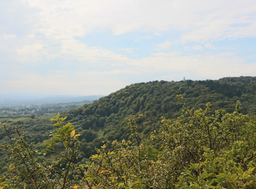 Burg Leopoldsberg景点图片