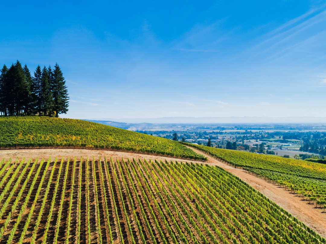 TWOMEY Willamette Valley