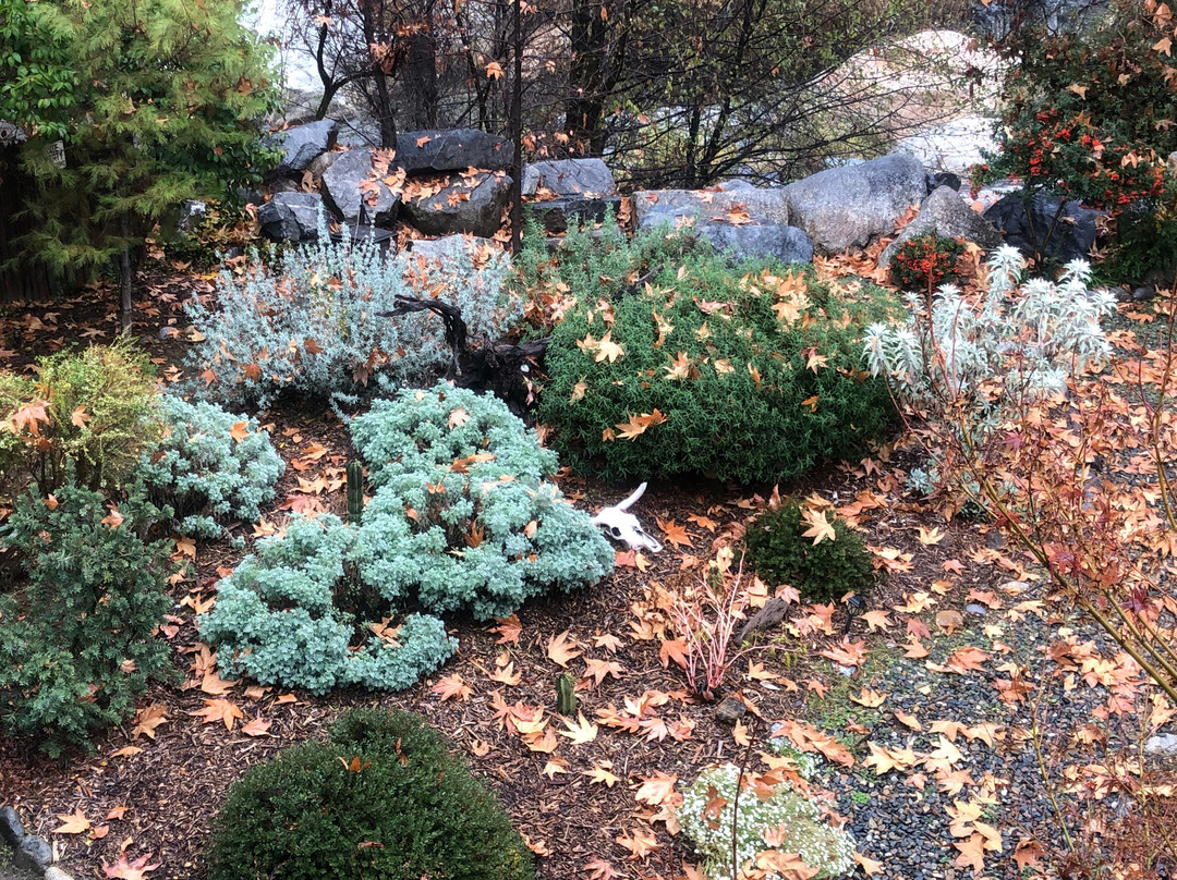 Buckeye Tree Lodge & Cabins主图