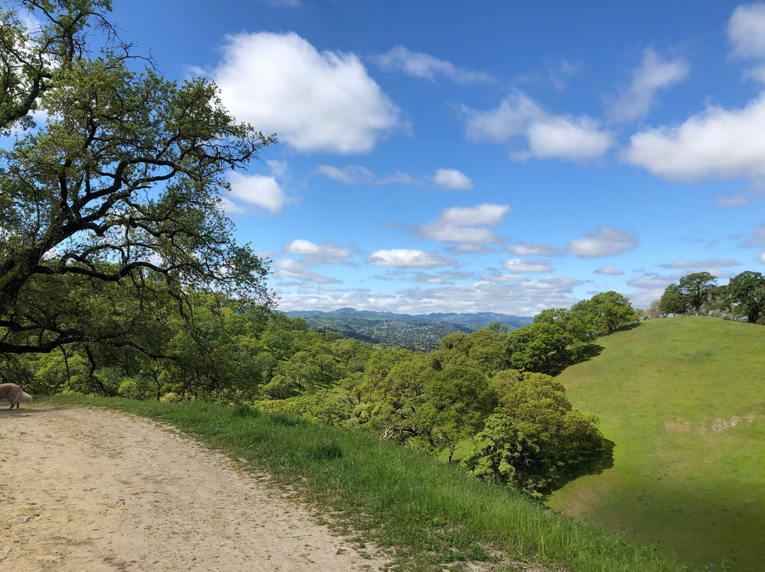 Borges Ranch-核桃溪必去景点