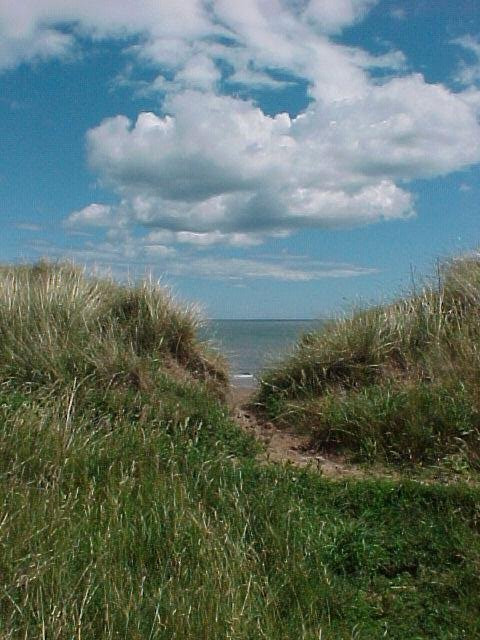 Montrose Beach-Montrose必去景点