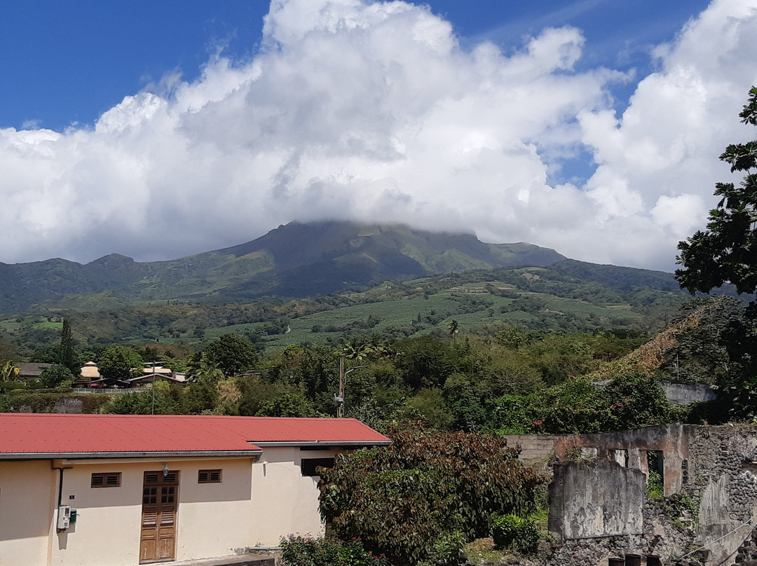 Le Petit Train Cyparis Express-Saint-Pierre必去景点