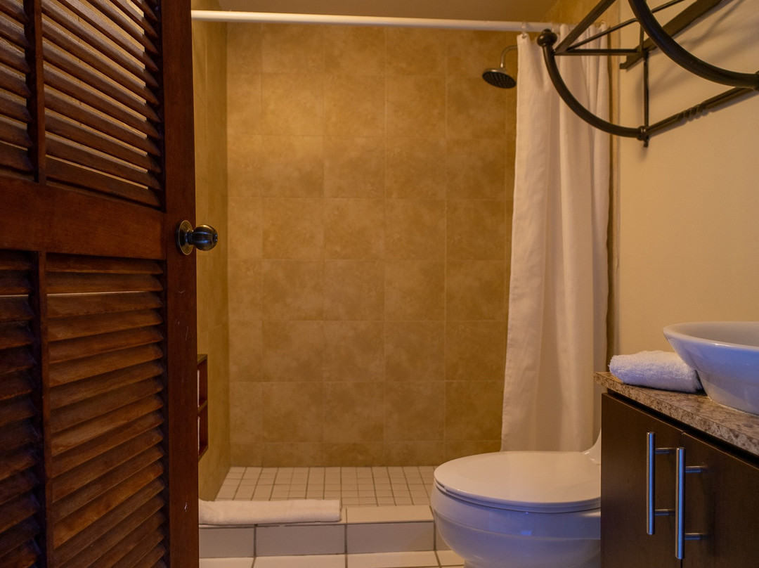 Rainforest & Ocean View Inn at Hacienda Carabali主图