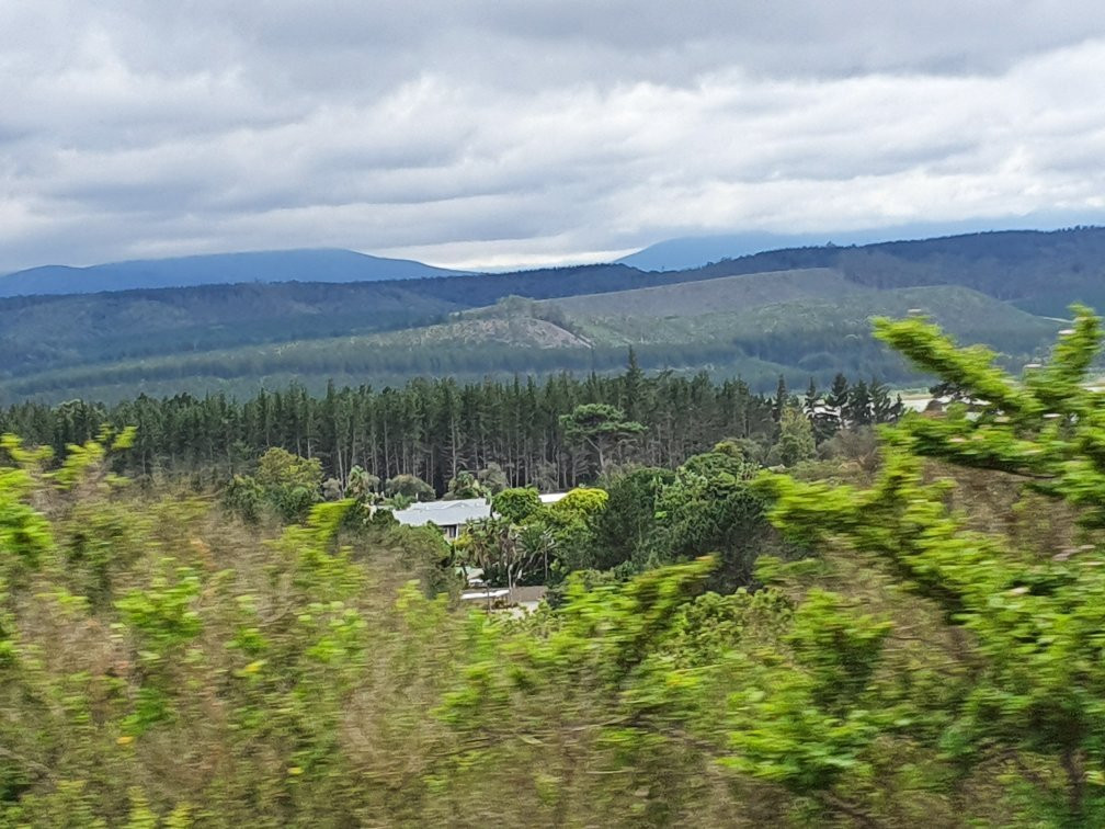 Hoekwil酒店住宿-Oog-in-Al Guesthouse