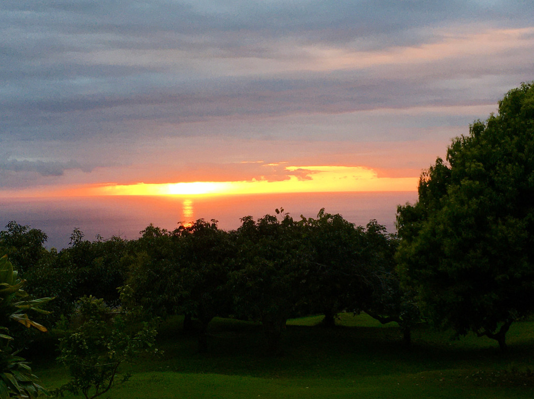 Kane Plantation Guesthouse主图