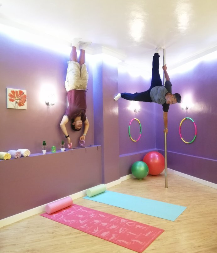 Upside Down House Museum景点图片