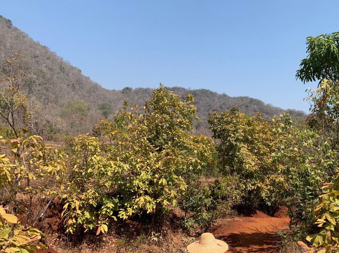 Yola Trekking景点图片
