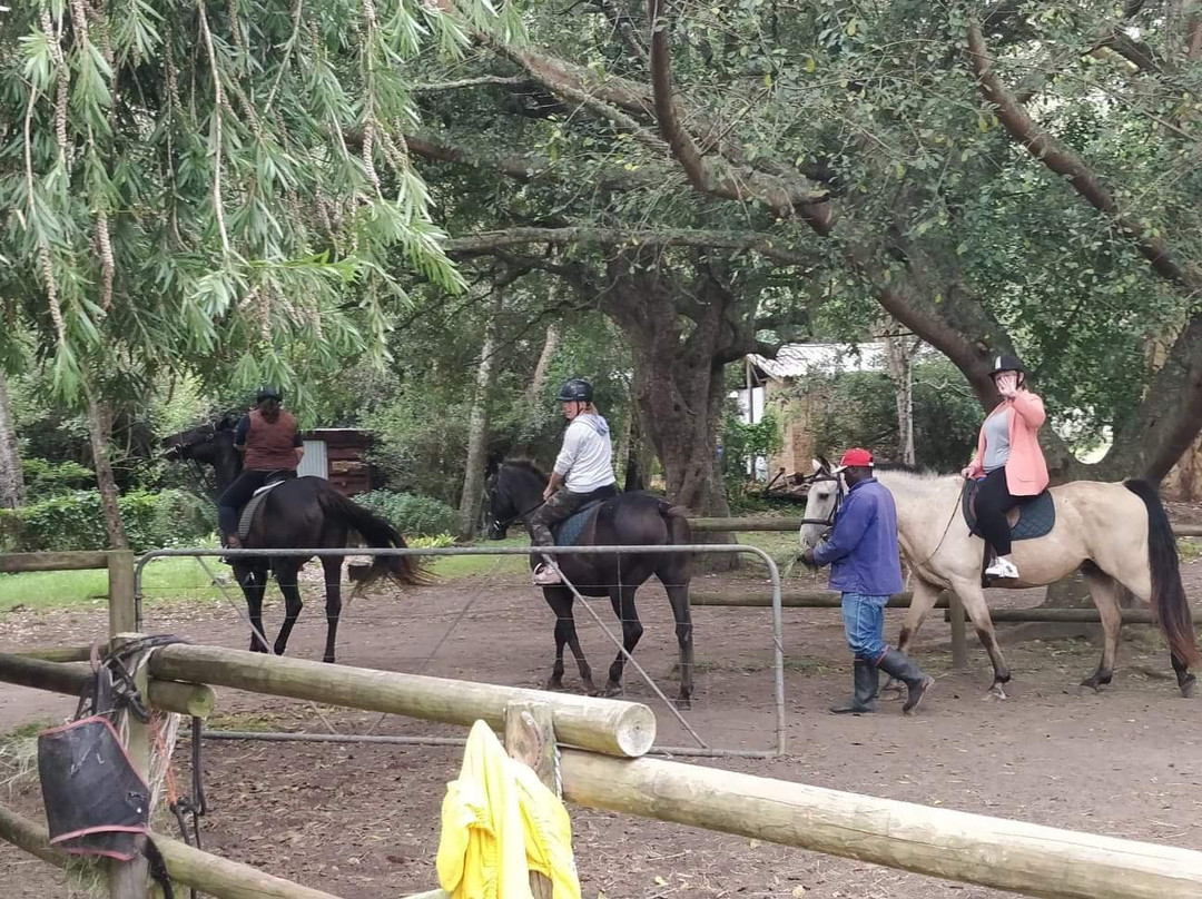 Boschrivier Farm & Stables-Wittedrift必去景点