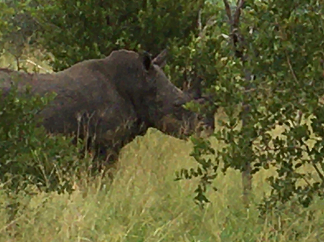 Outlook Safaris-克鲁格国家公园必去景点