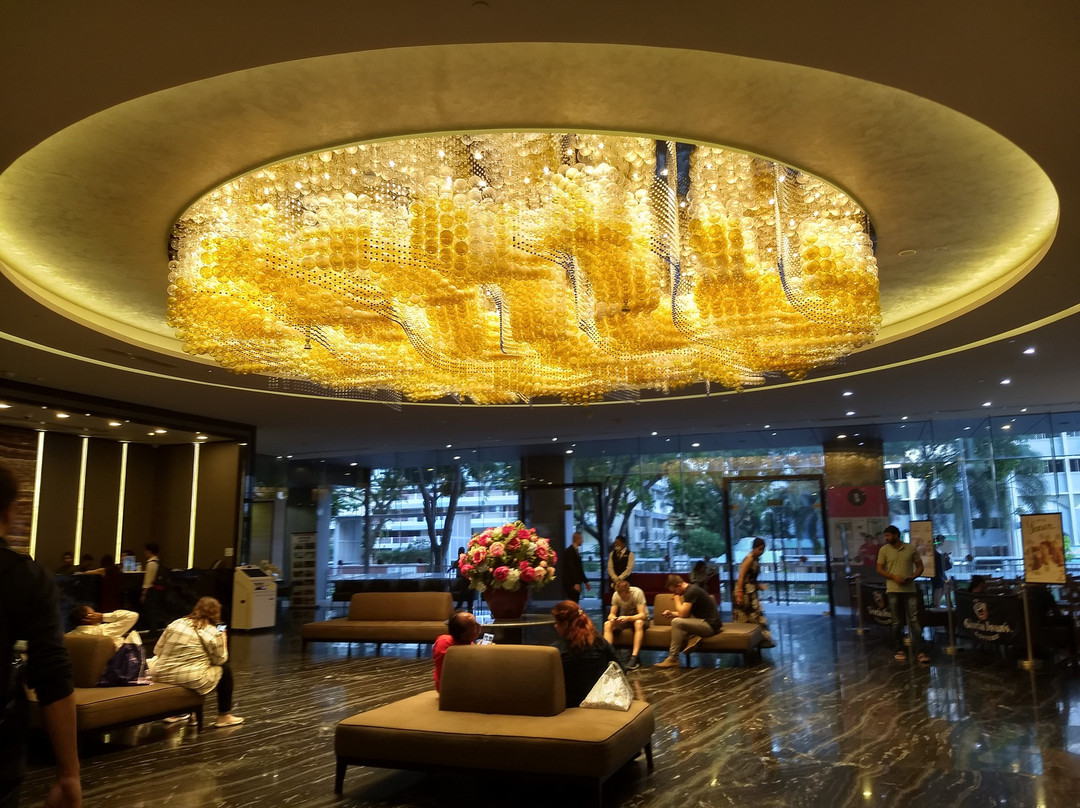 庄家大酒店主图