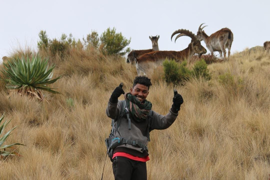 Simien Roof Trek Tours-贡德尔必去景点