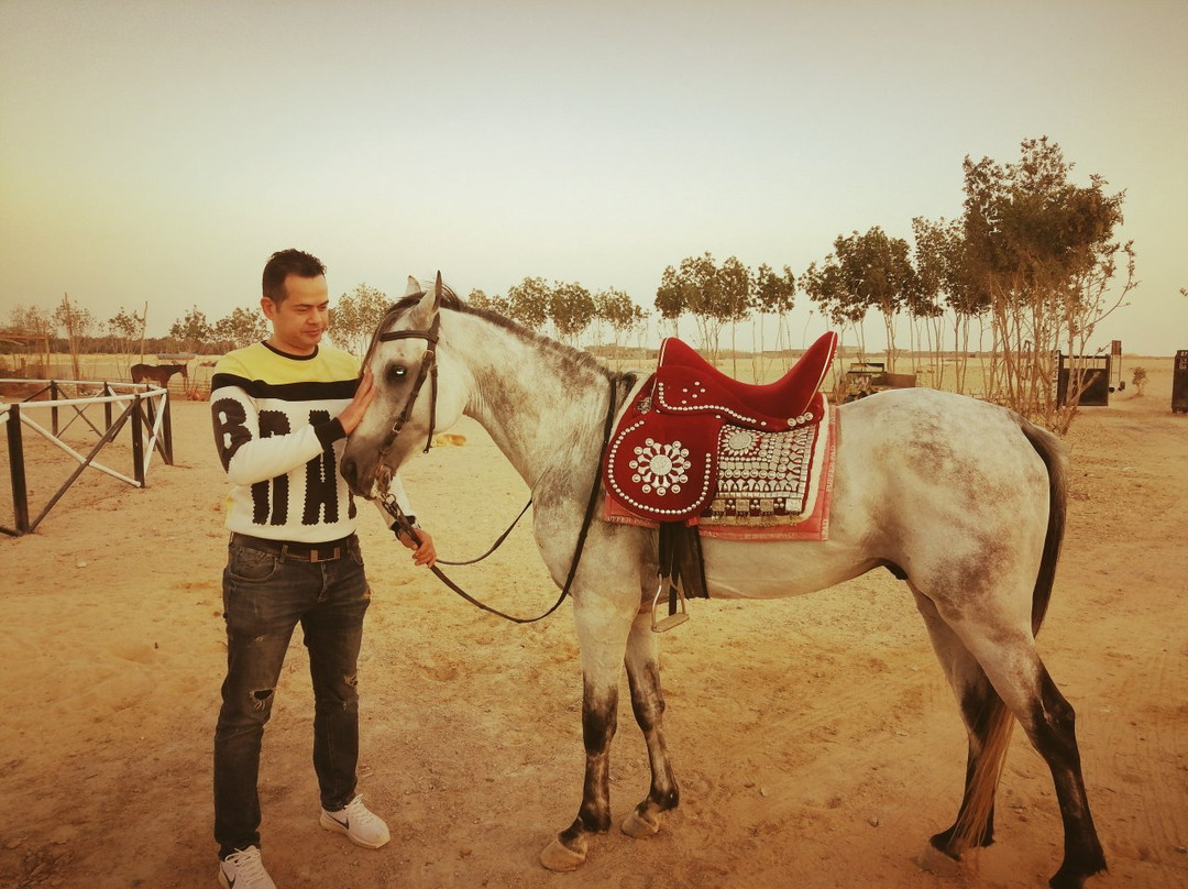 Egypt Horse Ride-赫尔格达必去景点