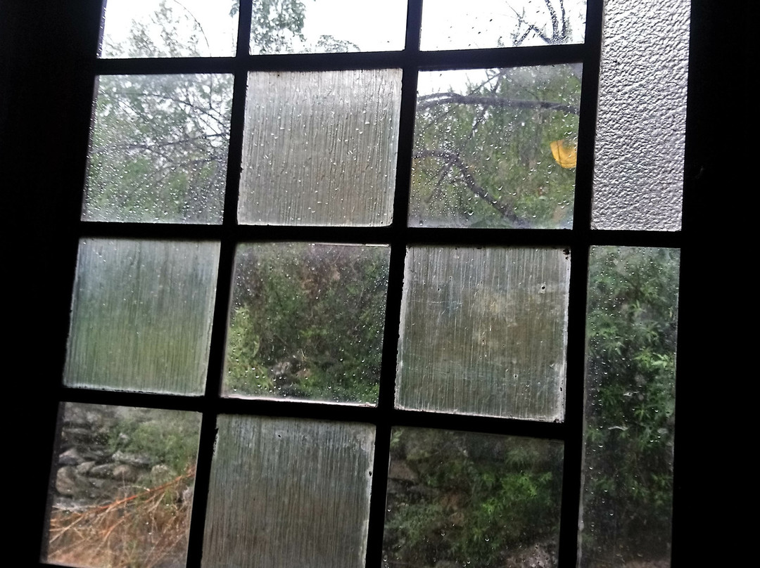 Bodega San Javier-圣哈维尔必去景点