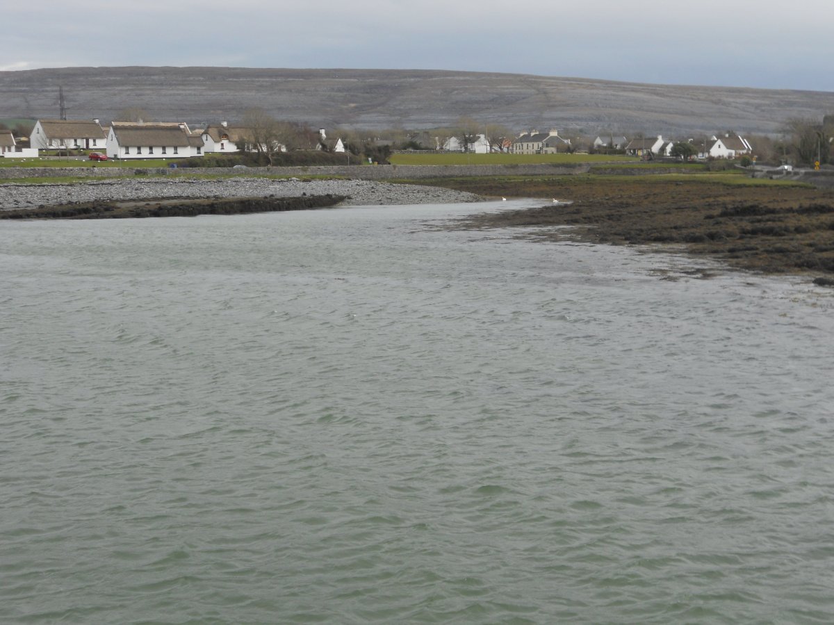 野生大西洋小屋-官方