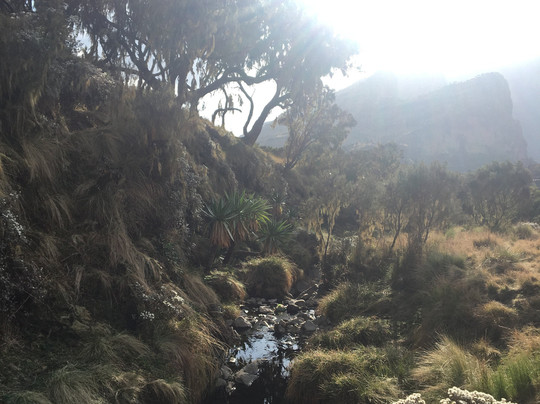 Simien Adventure Tours-贡德尔必去景点