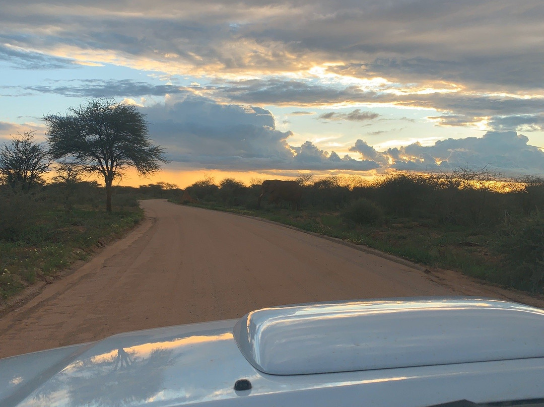 Seboa Tours and Car Hire-斯瓦科普蒙德必去景点