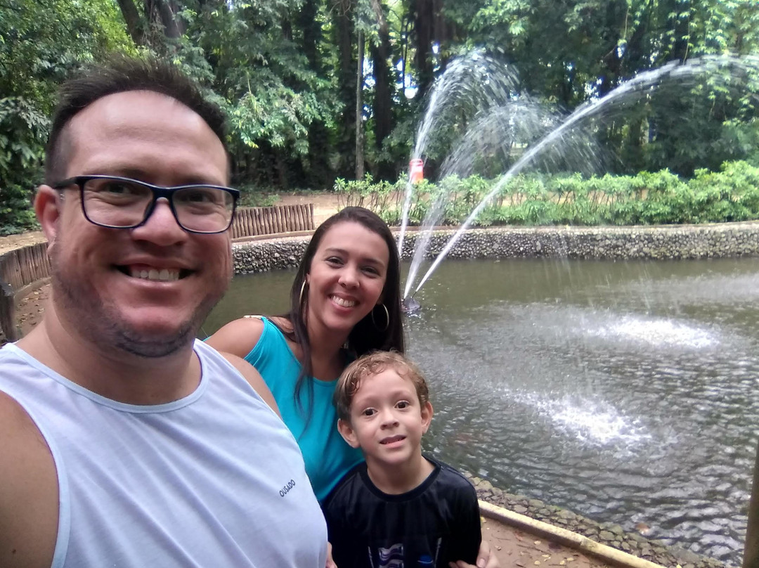 Niteroi Botanical Garden-尼泰罗伊必去景点