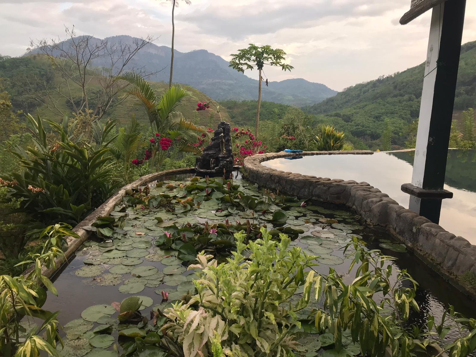 Paradise Eco Garden-泳池