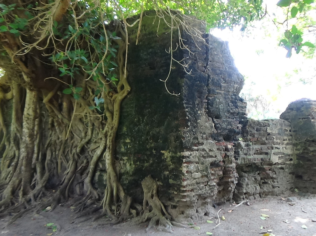 Arippu Dutch Fort-马纳尔必去景点