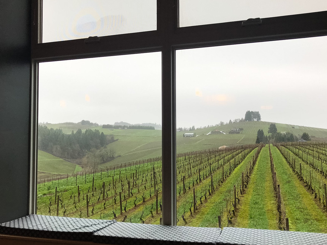 Holloran Vineyard Wines