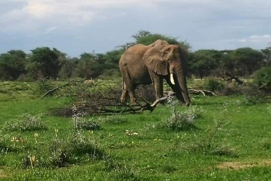 Galago Tours & Safaris Namibia-温德和克必去景点