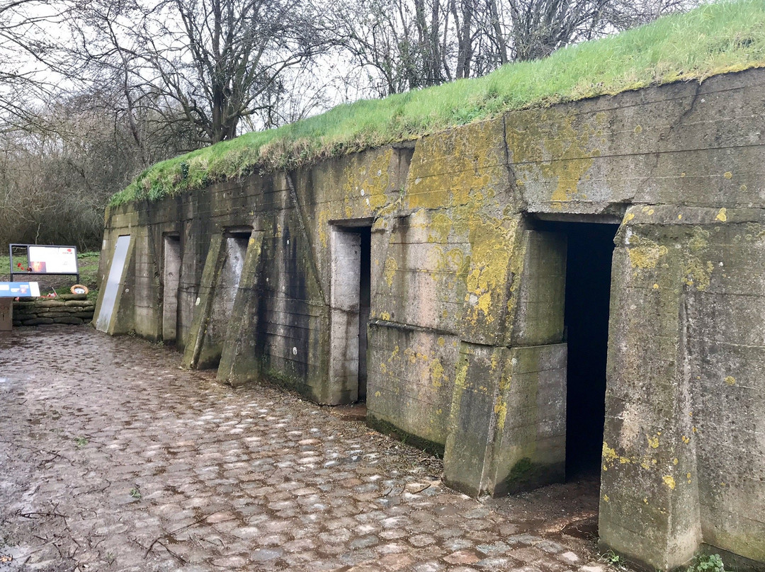 Essex Farm Cemetery景点图片