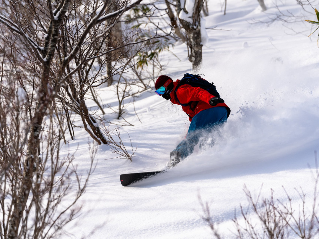 Niseko Moiwa Ski Resort景点图片