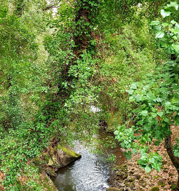 Gorge of Vouraikos-卡拉夫里塔必去景点