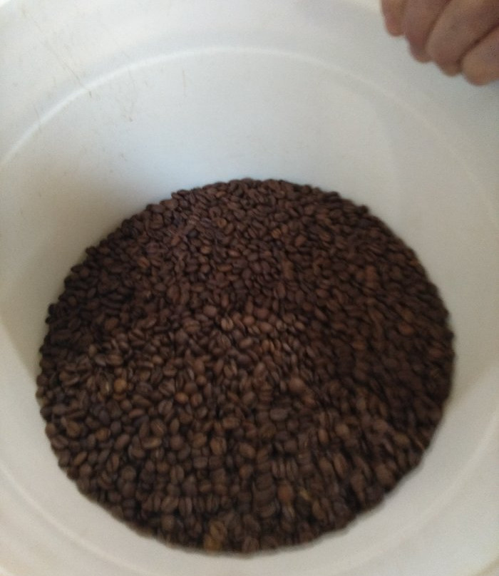 Fazenda NInho da Aguia-Alto Caparao必去景点