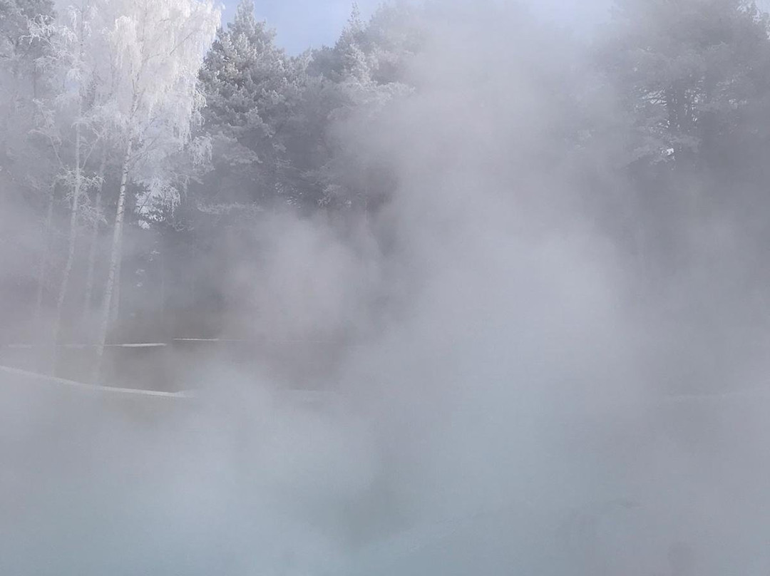 Baden-Baden Termy Uktus景点图片