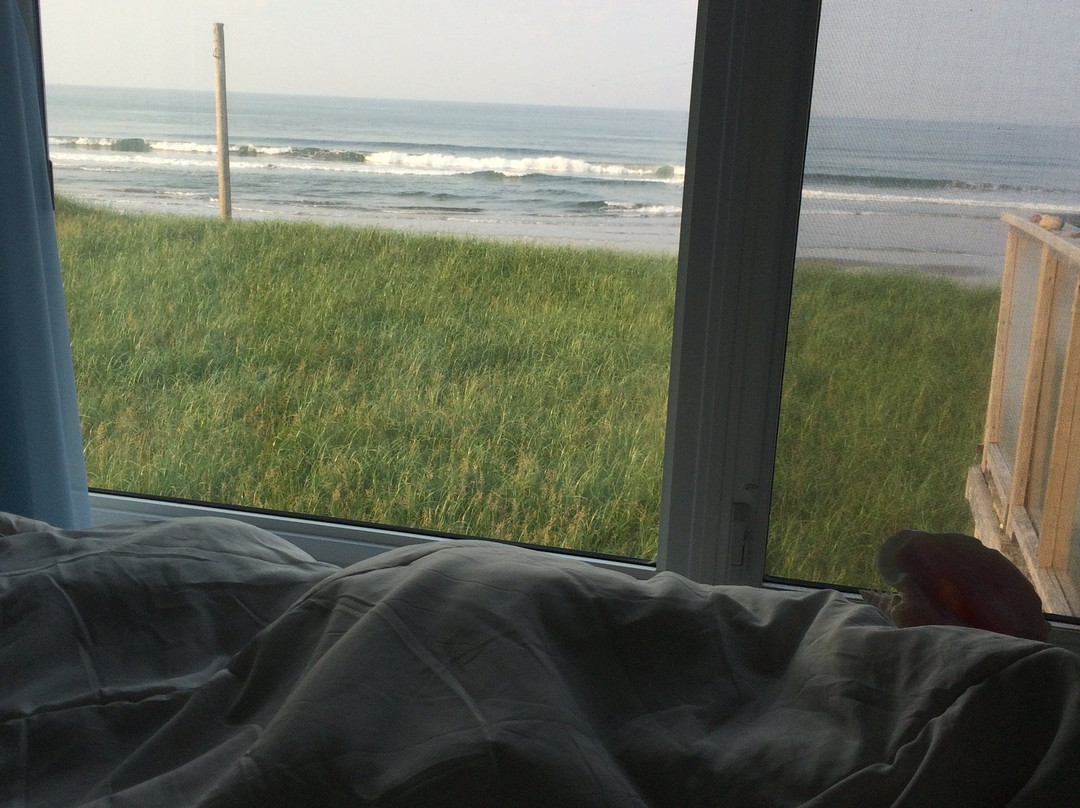 Moonlight Beach Suites主图