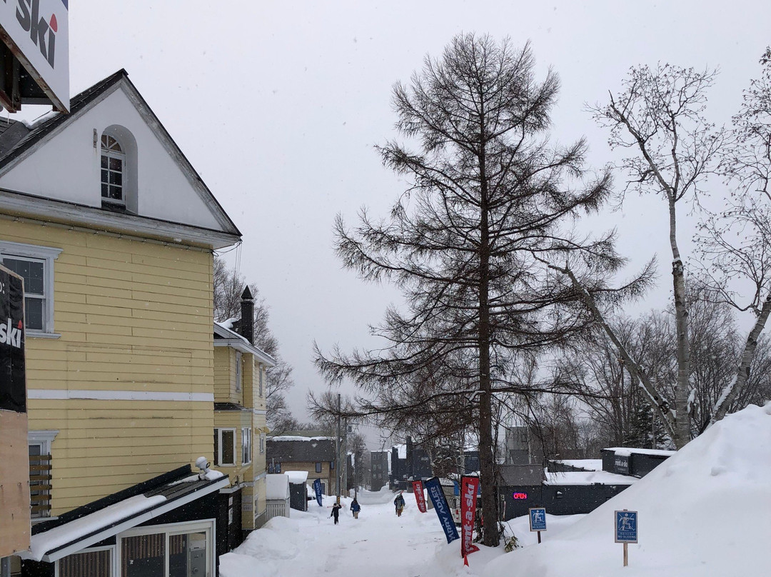 新雪谷村滑雪胜地景点图片