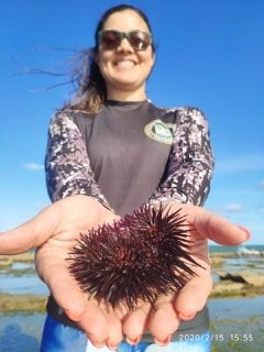 Mar e Trilhas - Barra de Mamanguape - PB-Rio Tinto必去景点