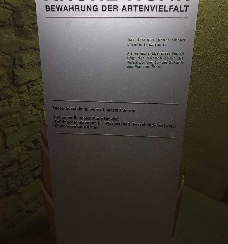 Naturkundemuseum-爱尔福特必去景点