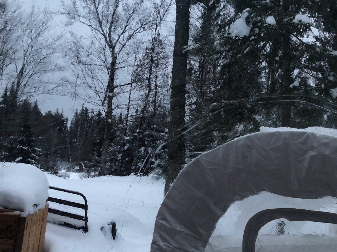 Parc Cavaland-Sainte-Marguerite-du-Lac-Masson必去景点