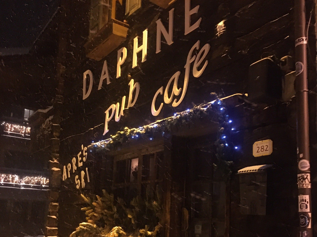 Daphne's pub-利维尼奥必去景点