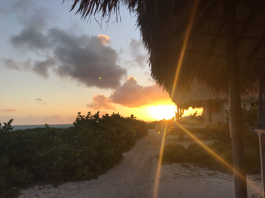 Anegada Beach Club主图