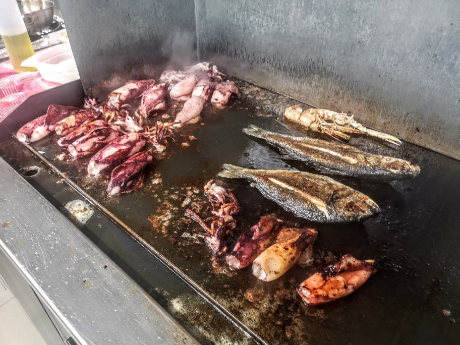 Pansion Karoca主图