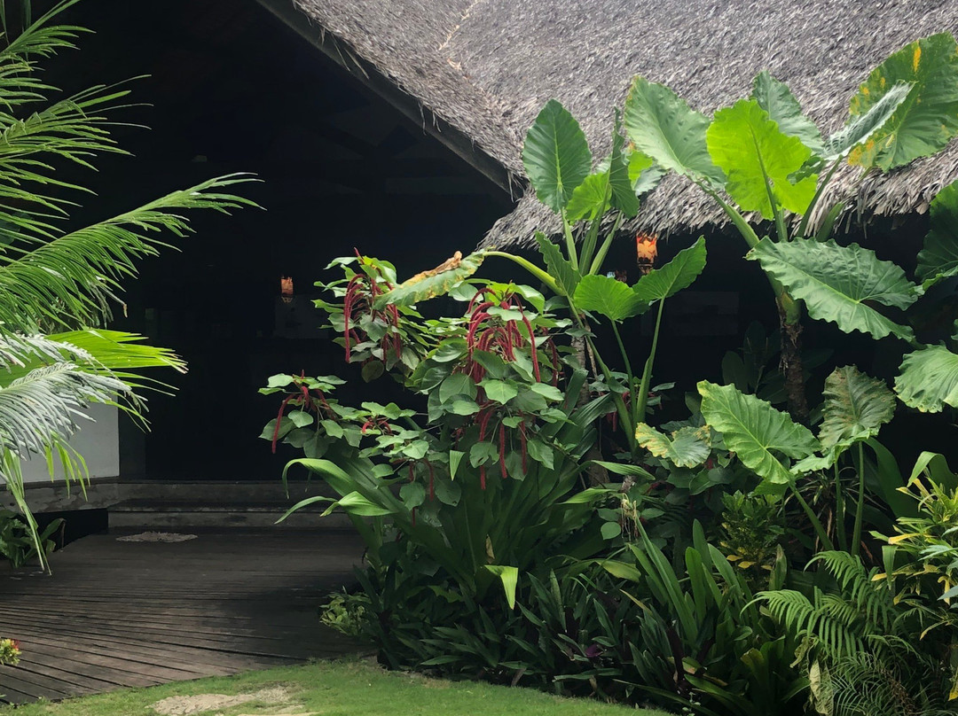kawayan villa siargao主图