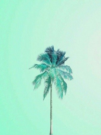 维洛艾洛海滩度假村主图