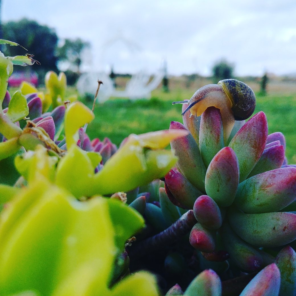 Agriturismo Tenuta Portararo-官方