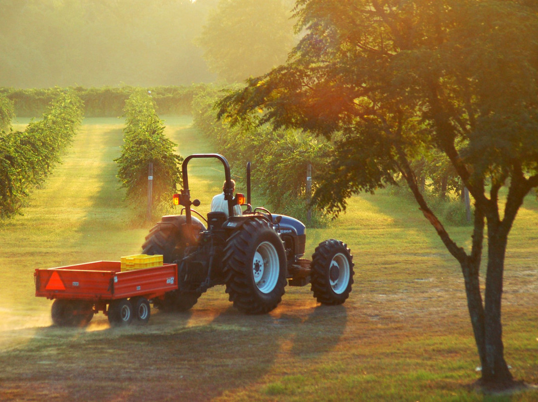 Horse Creek Winery-Nashville必去景点