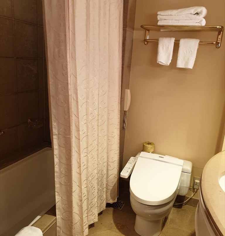 Hotel Grand Tiara Anjo主图