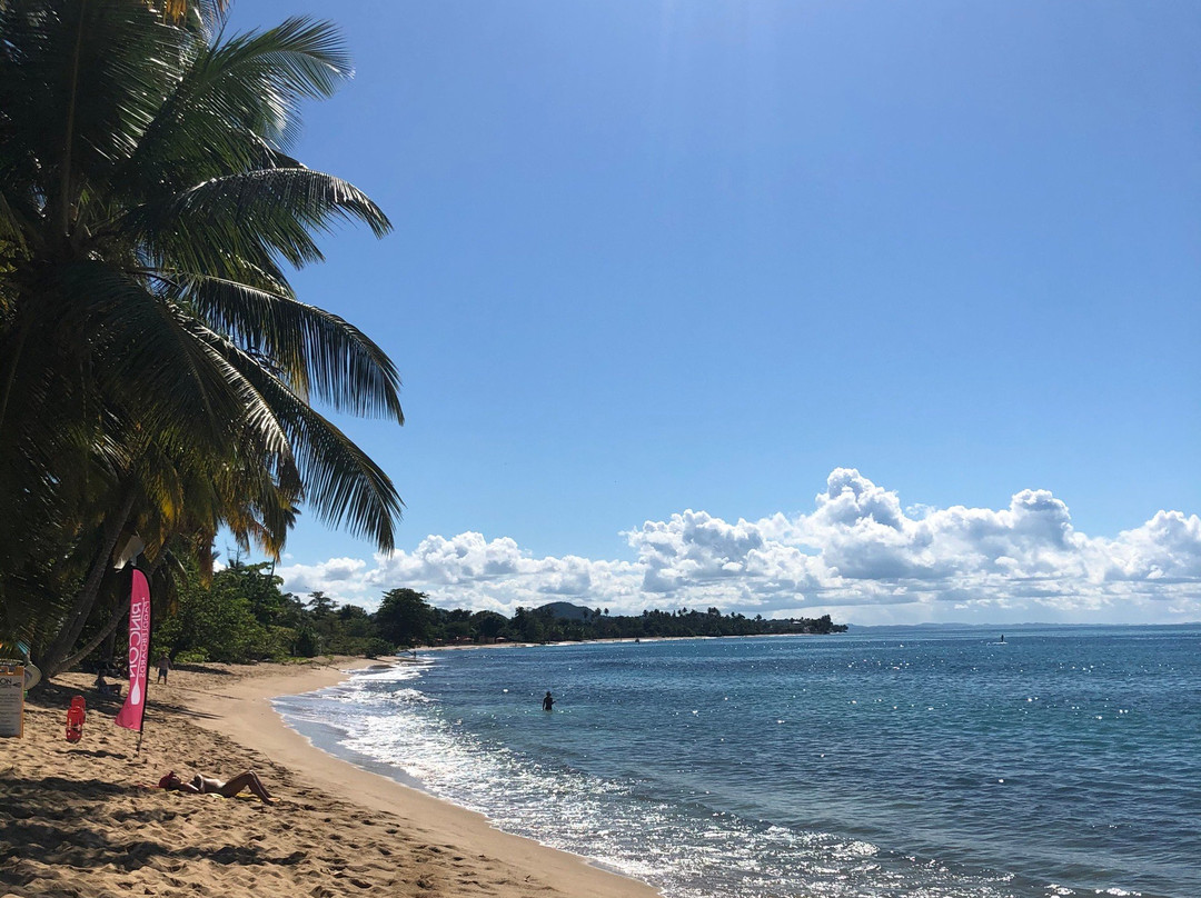 Rincon Marina-吕康必去景点