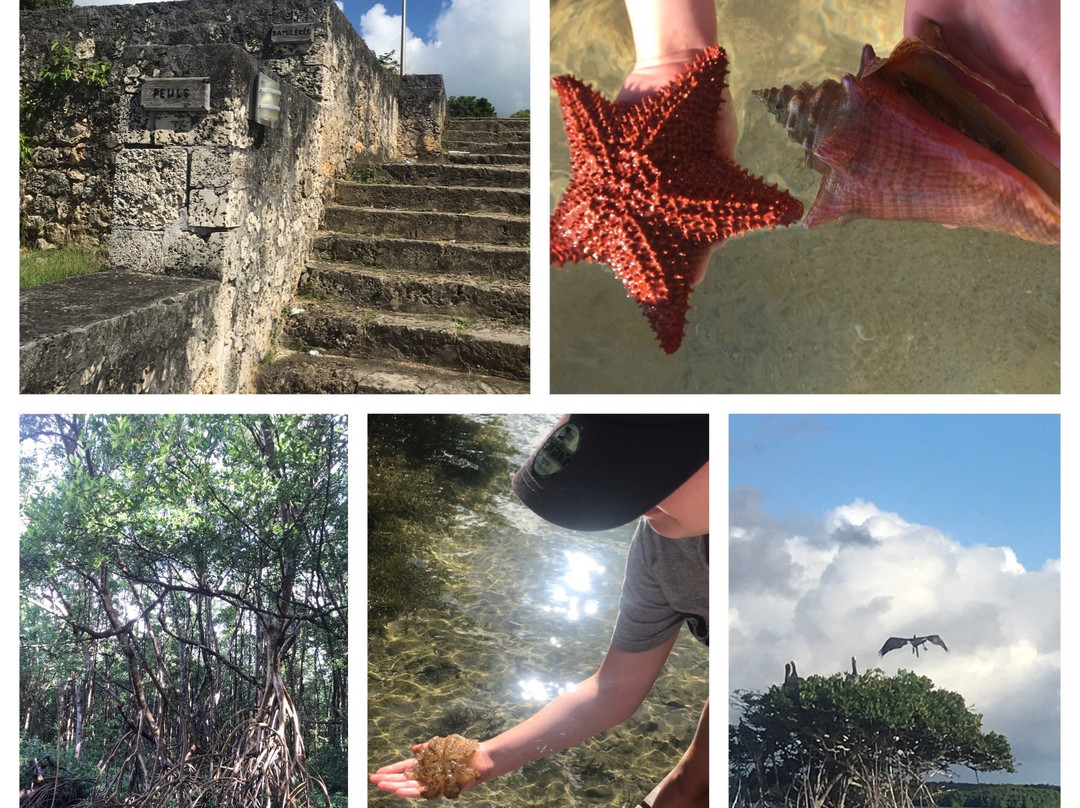 Vincent Excursions-Morne-A-l'Eau必去景点