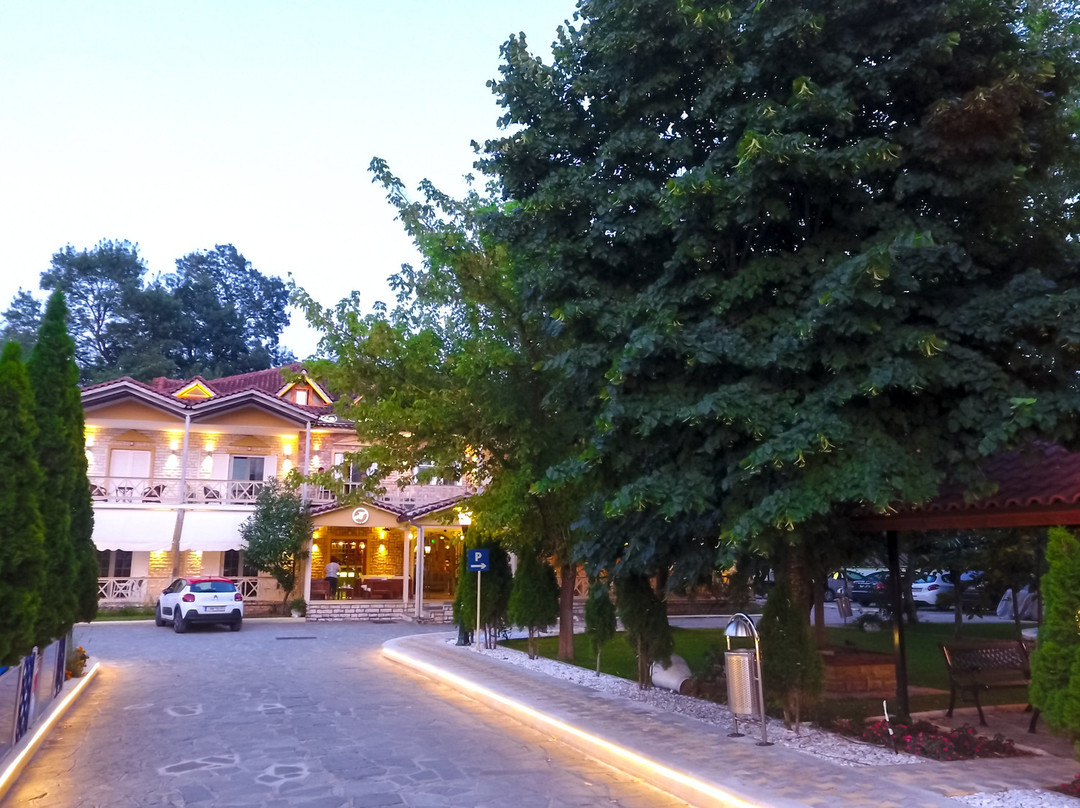 Krikonis Hotel Ioannina主图