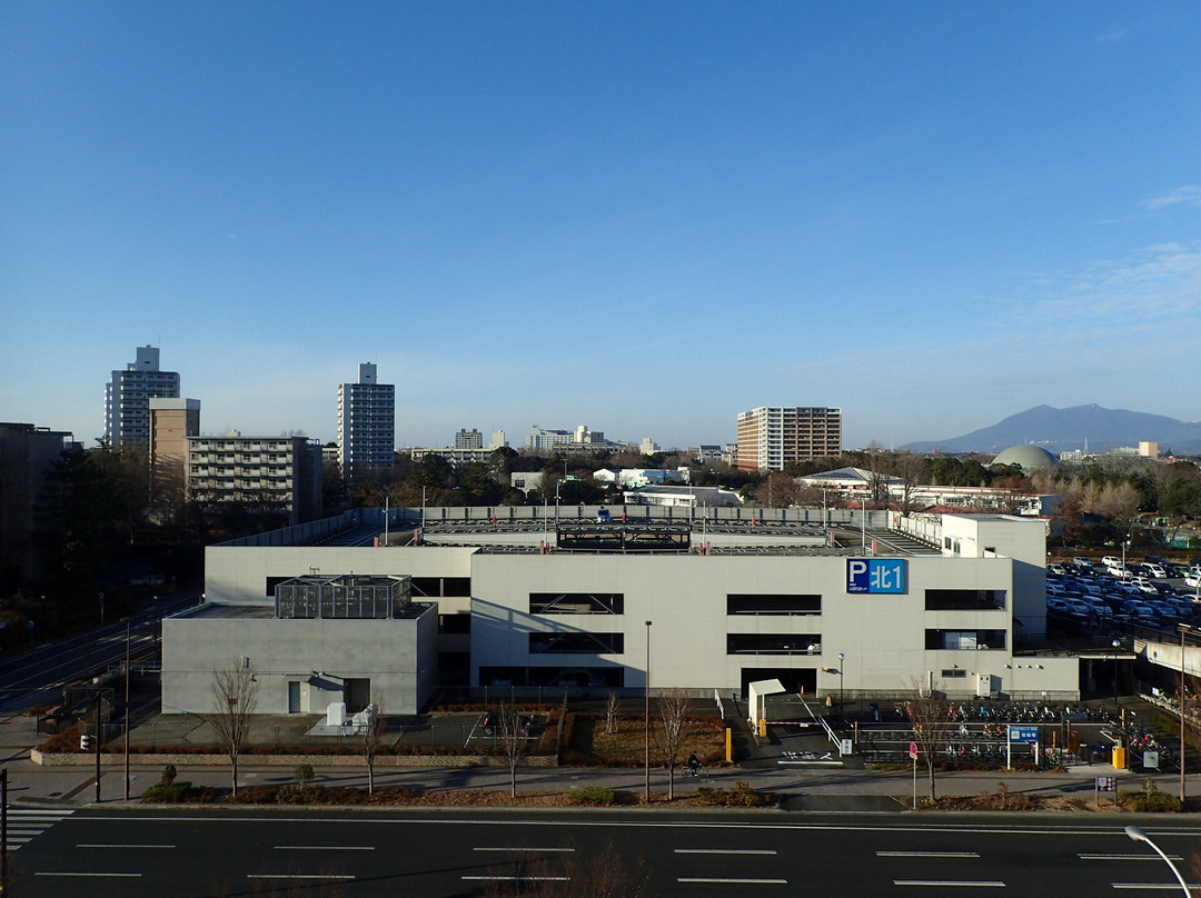 Daiwa Roynet Hotel Tsukuba主图