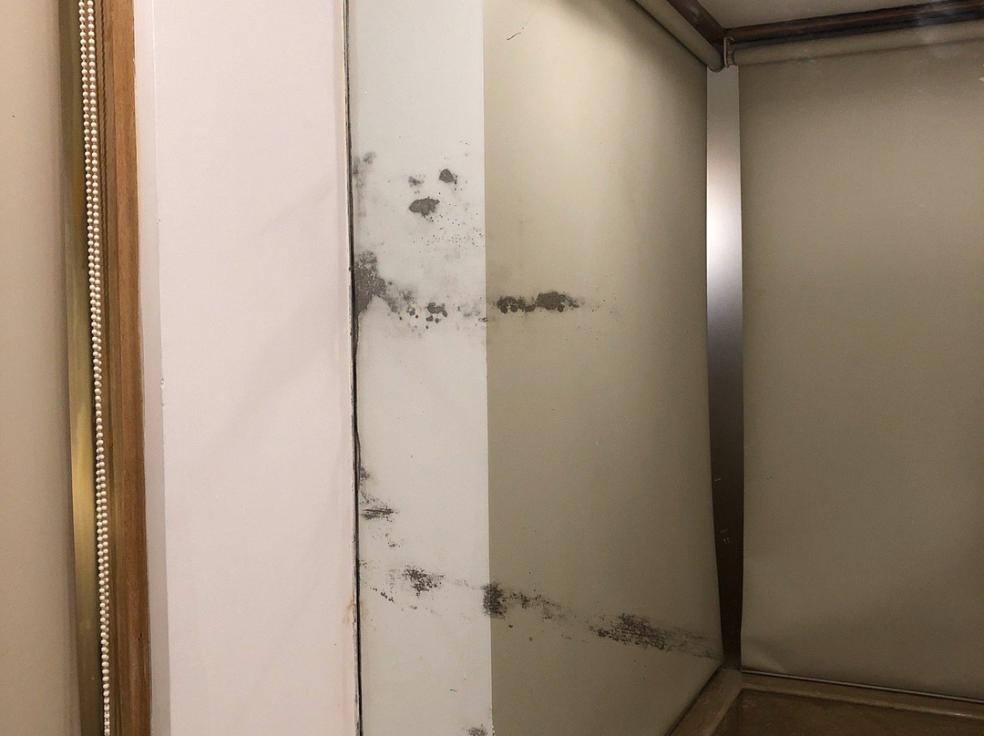 Hotel Western Court Chandigarh主图