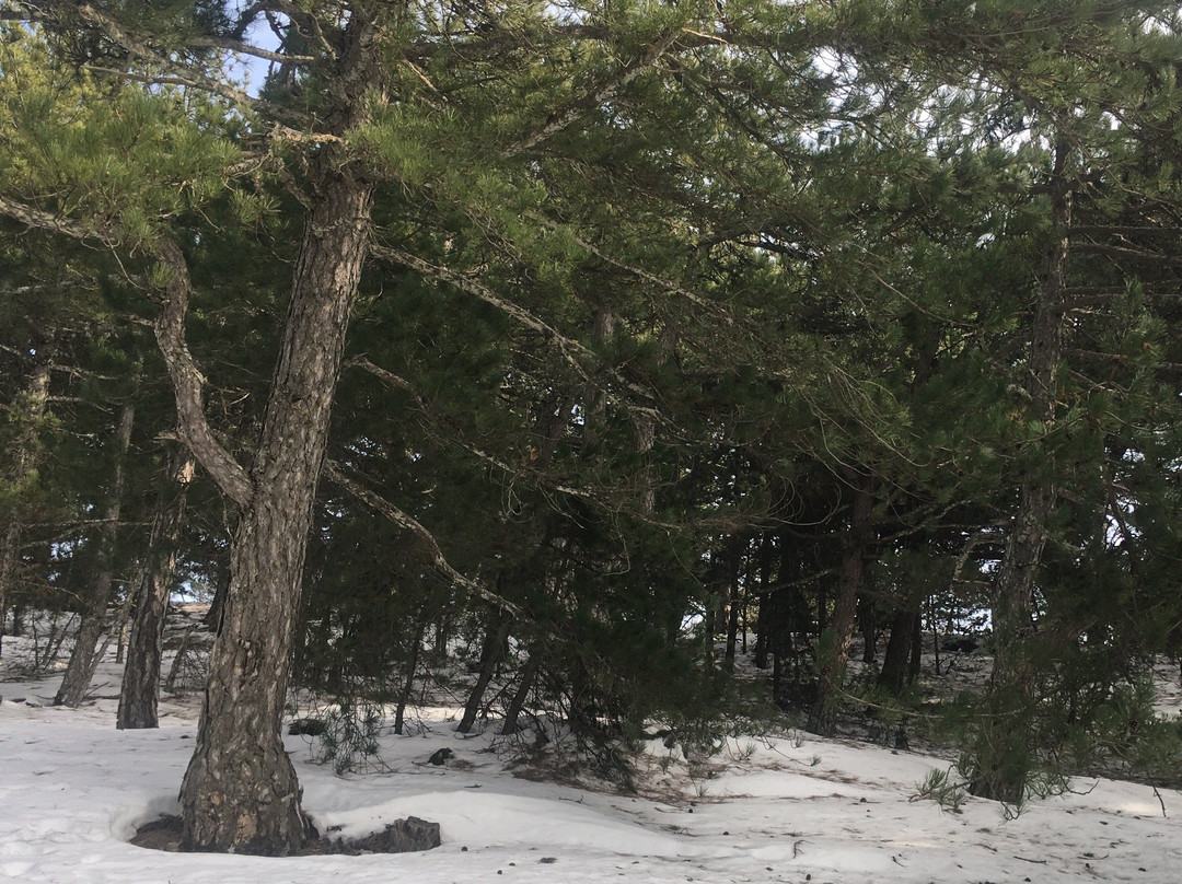 Mount Spil-Manisa必去景点