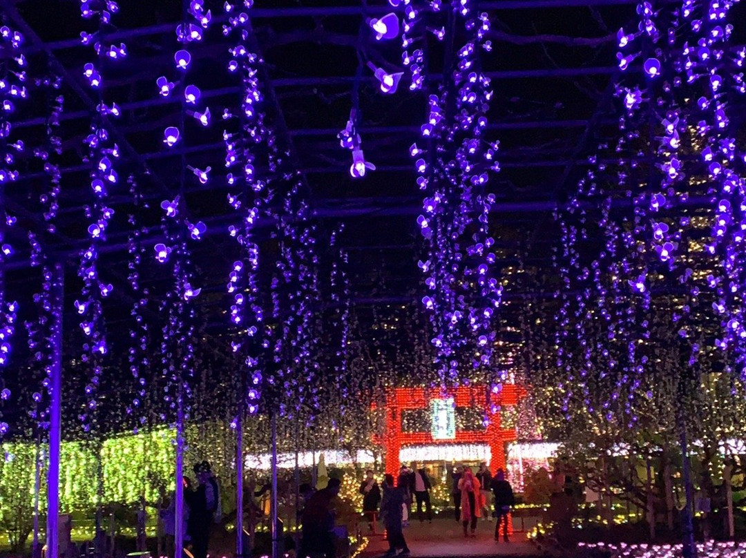 Ashikaga Park-足利市必去景点